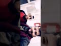 صوت رهيب تعال شوف وحكم شاب عراقي يغني كلش مكانك خالي محمد عساف رأيكم يخبل 