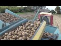 Трактор Т-25 в сцепке с комбайном Anna Z-644 копает картофель на приусадебном участке