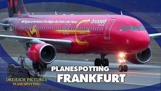 Planespotting Frankfurt Airport | February 2024 | Part 1