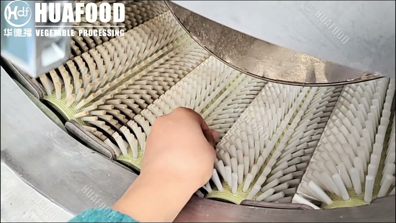 Potato washing machine by soft brushes