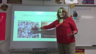 EDU 1107 Micro Teaching - Vygotsky