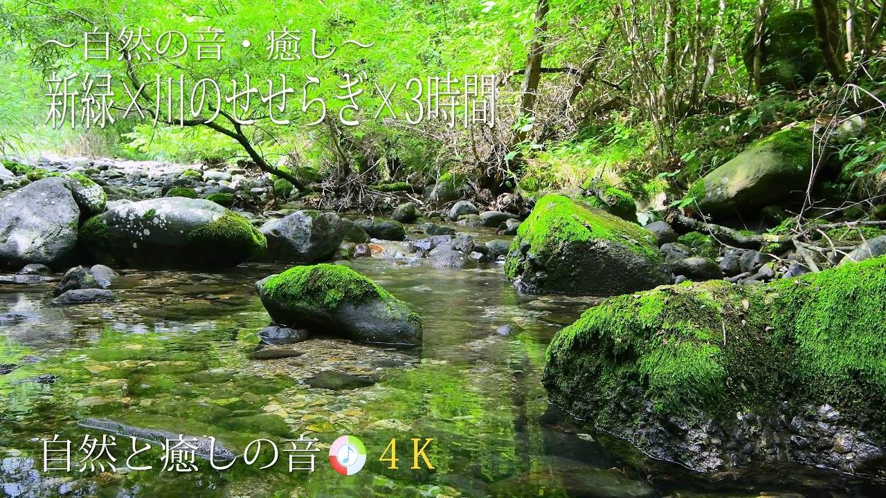 【自然の音】癒しの水の音、新緑の森林と川のせせらぎ、ストレス解消、睡眠導入、自律神経を整える、疲労軽減、癒し、リラックス、作業用BGM、瞑想 ...