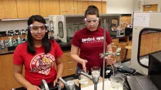 Lab 3 - Gas Laws - 101