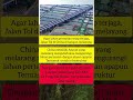 jalan Tol yang dibuat tidak biasa #shorts