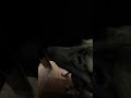 @sunshinecoats: This happened 😲 #dog #dogvideos