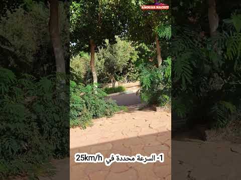 القوانين الجديدة المنتظرة لأصحاب التروتينيت والسكوتر الكهربائي