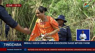 Older Imbali proceeded to Mphisi Farm to cut the reed screenshot 1