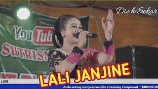  Hajatan Diah Sekar Lali Jajine Kidung Mustiko