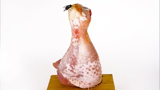 Download Lagu Maggots Eating Chicken Leg vs. Meatball Time Lapse MP3