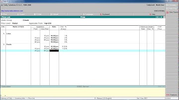 Use Multiple Price Levels in Tally 9 in Hindi