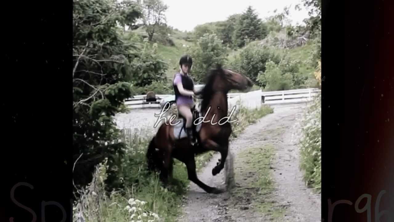 2 years.- 'Just give up. Its impossible.' ~We showed them wrong.