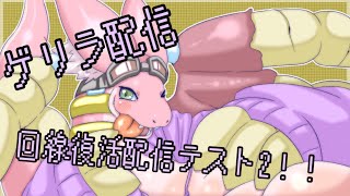 【回線復活2！！！】配信テスト！！スーパーマリオメーカー2！！！！！（ラドルフくんも一緒に！！）