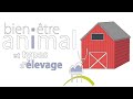 Bientre animal et types dlevage part 1  le rendezvous bea 10