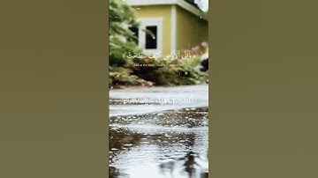 سورة الغاشية أفلا لاينضرون الى الابل كيف خلقت (أسلام أقراء islamigra) #اكسبلور #المصحف #حالات_واتس