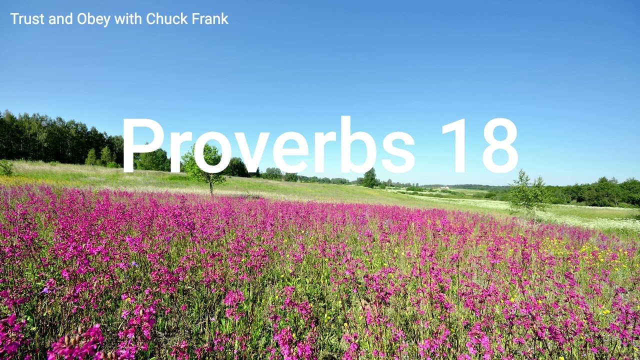 Proverbs 18: Wisdom for Words and Relationships, taught by Chuck Frank