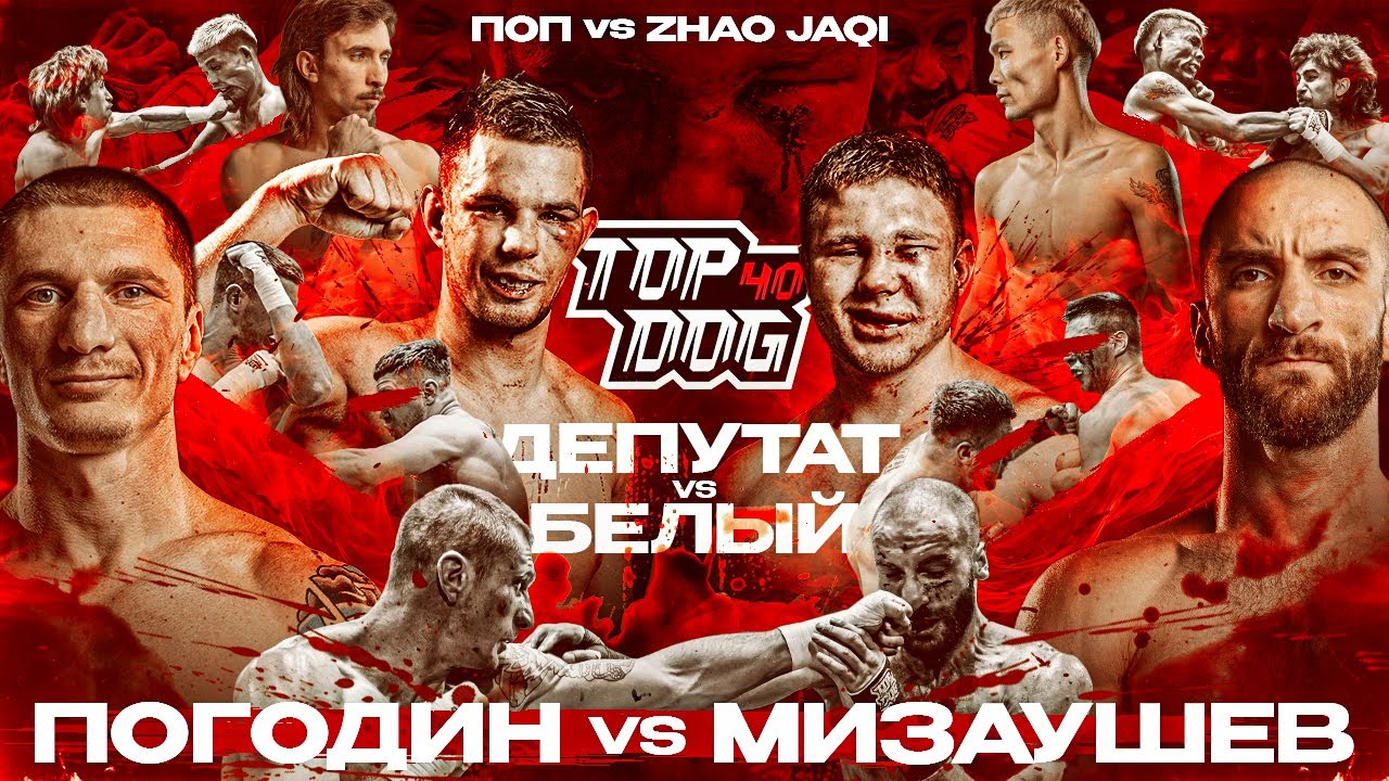 TOP DOG 40 | Депутат VS Белый, Погодин VS Мизаушев, Поп VS Zhao Jaqi | Бой года