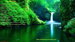 Sourate Al Fatiha ( Mohamed Al Barak )