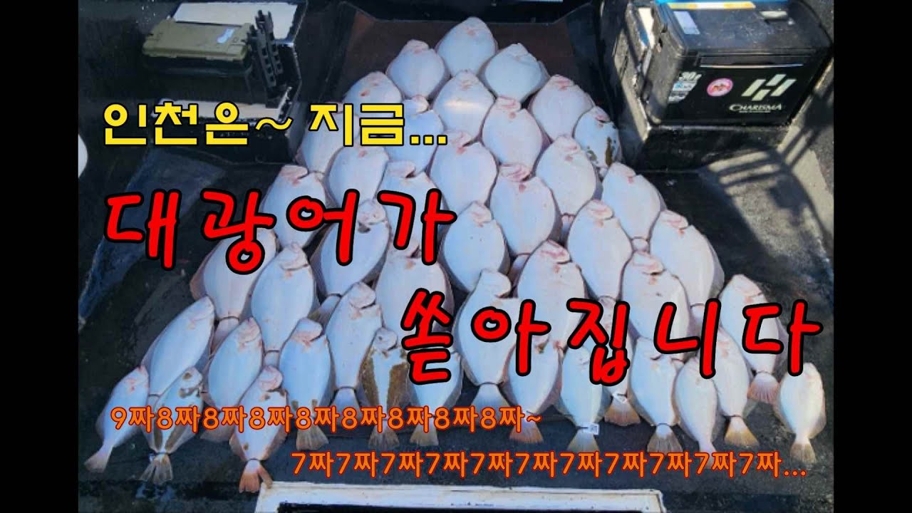 24 광어다운샷 인천(슈퍼노바호)