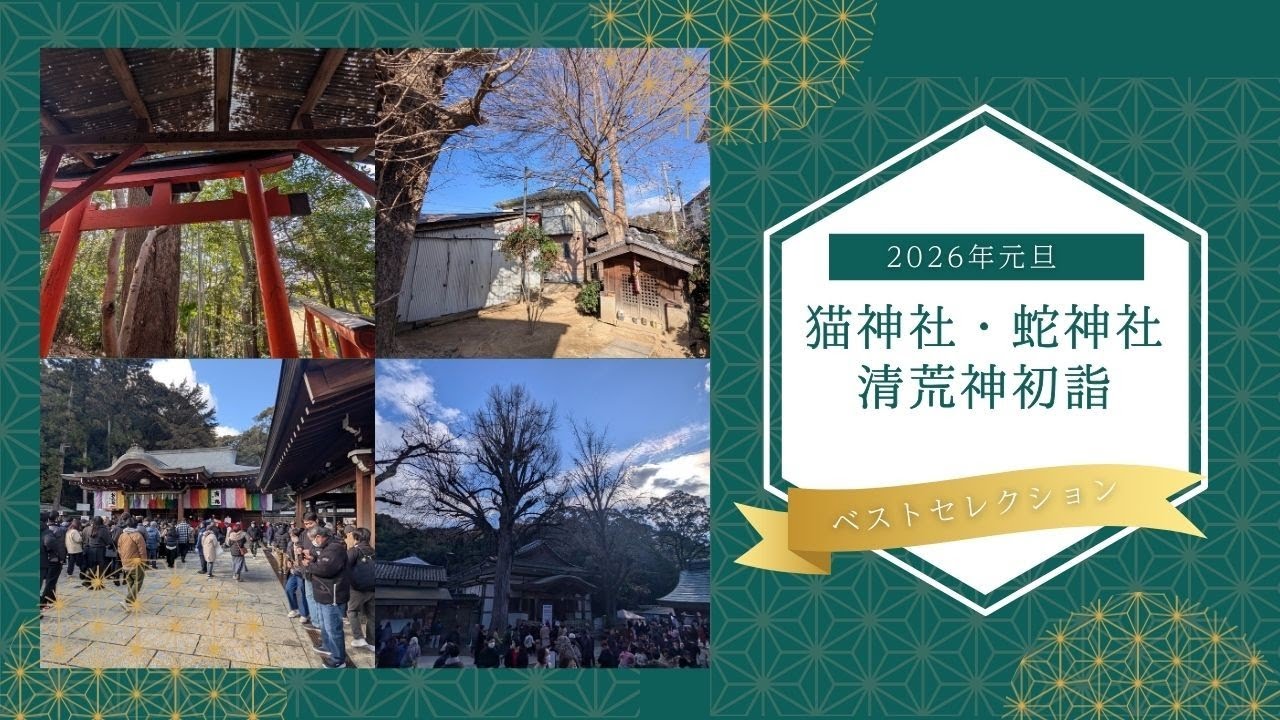 猫・蛇神社・清荒神