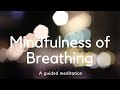 Mindfulness of breathing  a guided meditation  sraddhagita