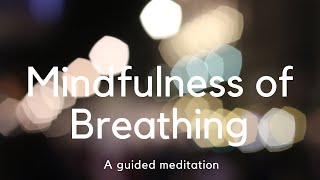 Mindfulness of Breathing  A guided meditation | Sraddhagita