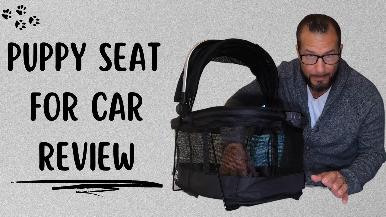 Pet Gear Safety Carrier Doggie Car Seat Review YouTube