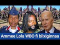 Oduu hatattamaa guyyaa haraa tarkaanfii lola wbo fi bilxiginnaa ammee caamsaa 42024