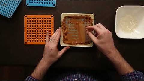 100 holes Step by Step How to Use the Capsu Fill Capsule Filling Machine