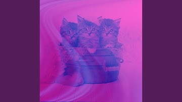 Vibrant Music for Lazy Cat Days