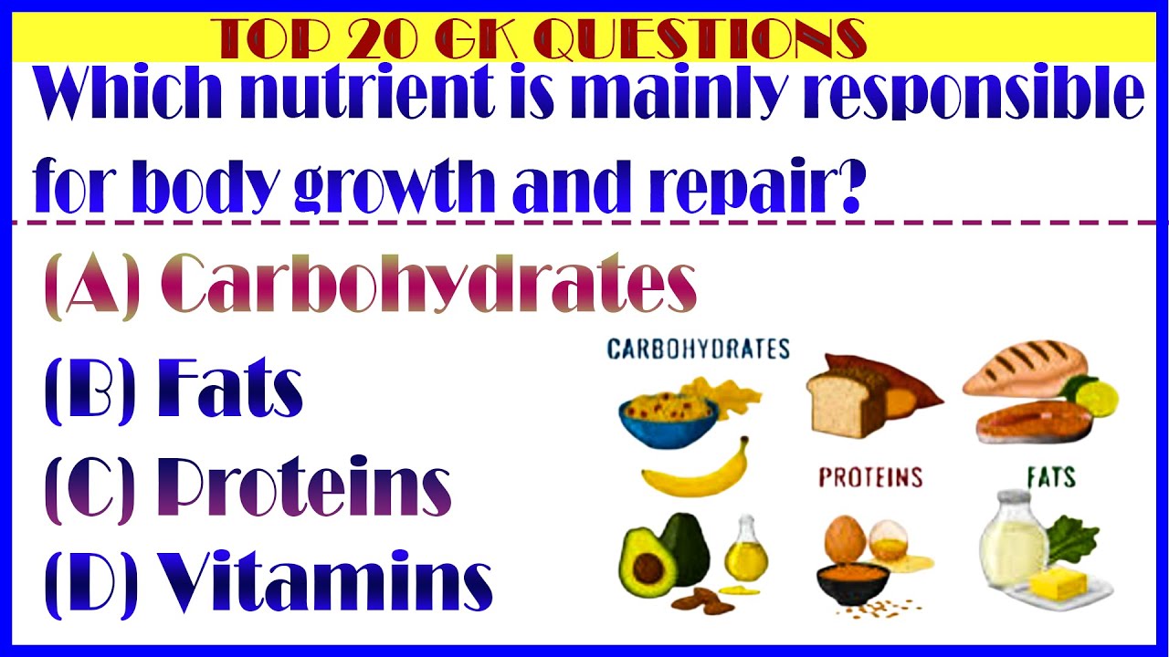 “20 Most Important GK Questions for Competitive Exams  New Pattern MCQs