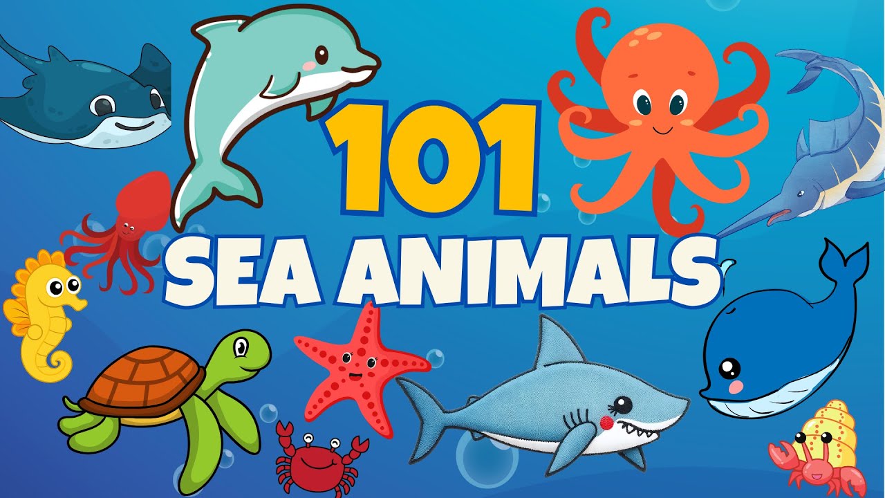 Learn 101 Amazing Sea Animals 🐙| Ocean Fun for Kids! - YouTube