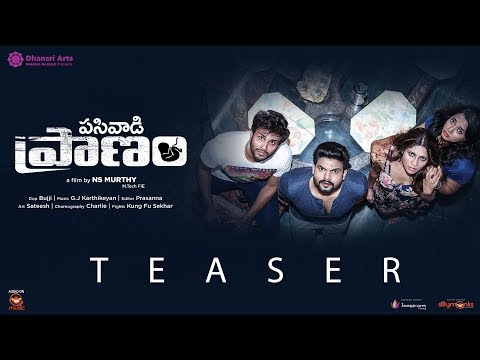 Pasivadi Pranam Movie Teaser | Allu Vamsi, Sujitha | NS Murthy | Dhansri Arts