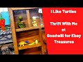 I Like Turtles -Thrift With Me at Goodwill for Ebay Treasures