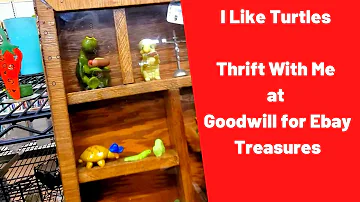 I Like Turtles -Thrift With Me at Goodwill for Ebay Treasures