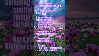 What is Image Sampling Spatial Resolution Explained