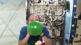 NASA - Angry Birds in Space