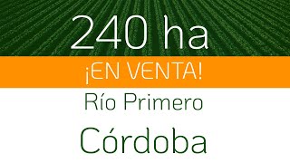Campo en venta | 240 ha en Río Primero, Córdoba | Tierra Fértil Inmobiliaria Rural