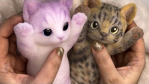Two sweet mochi kittens Visual ASMR no Talking  #mochipimplepopping #cat #oddlysatisfying