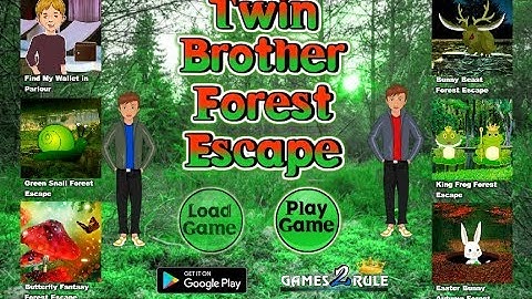 G2R Twin Brother Forest Escape Walkthrough [Games2Rule]
