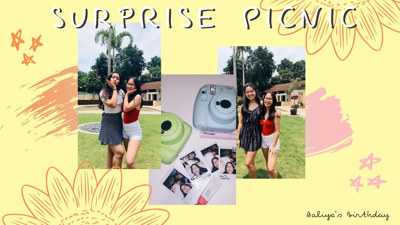 Surprising My Best Friend With A Picnic + Our Last Sleepover Vlog || 2019