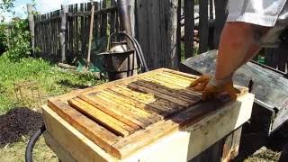 Самодельная паровая воскотопка