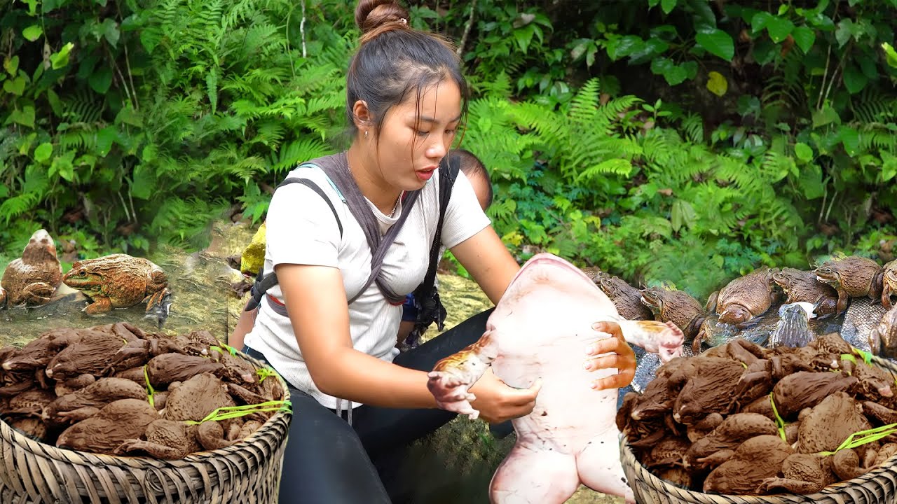 Harvest Giant frogs to sell at the market with single mom | Cook Delicious food