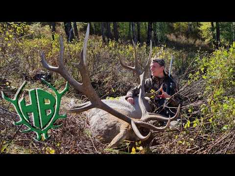 Maral Hunt in Kazakhstan