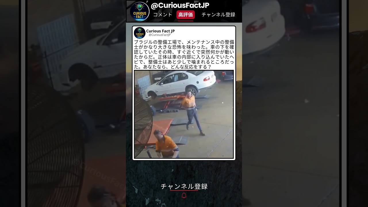 整備士が突然飛びのいた理由がこれ 😮