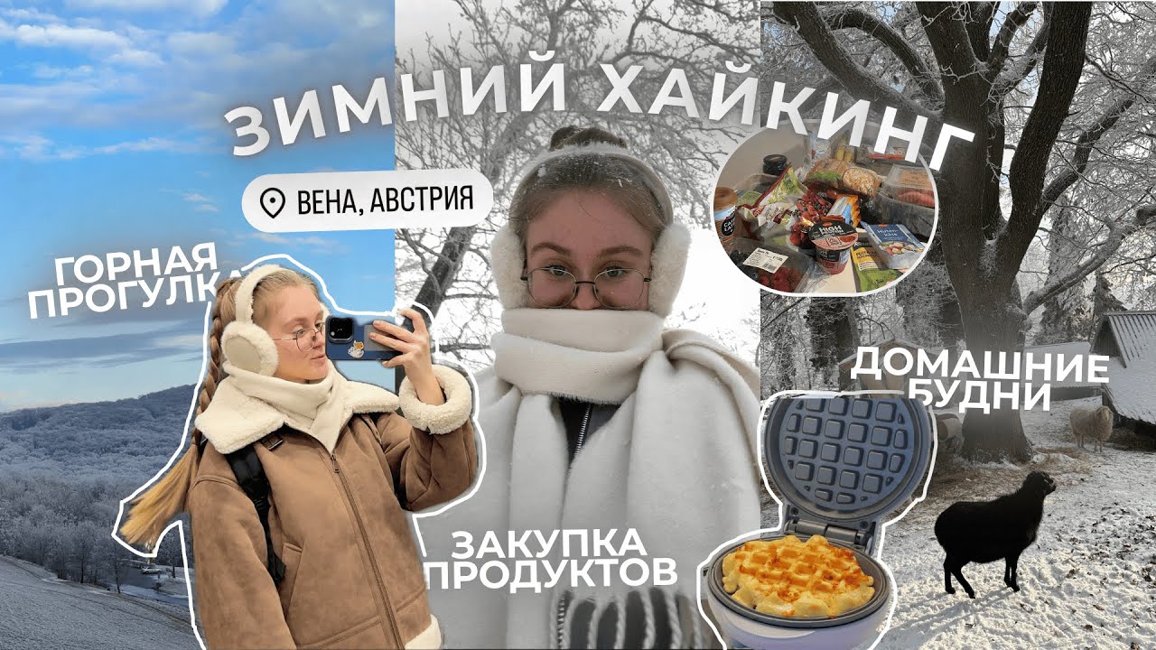 vlog: венские будни: зимний хайкинг, домашняя рутина, закупка продуктов