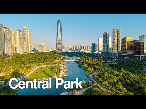 Drone Walk in Songdo Central Park at Sunset 🌇 [Peaceful Summer Evening in Korea]