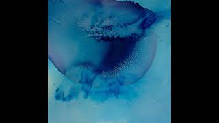 PREMIERE: Kletis - Midnight Nectar [Diffuse Reality]