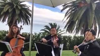 Firework (Katy Perry) -  Jopa String Quartet short sample