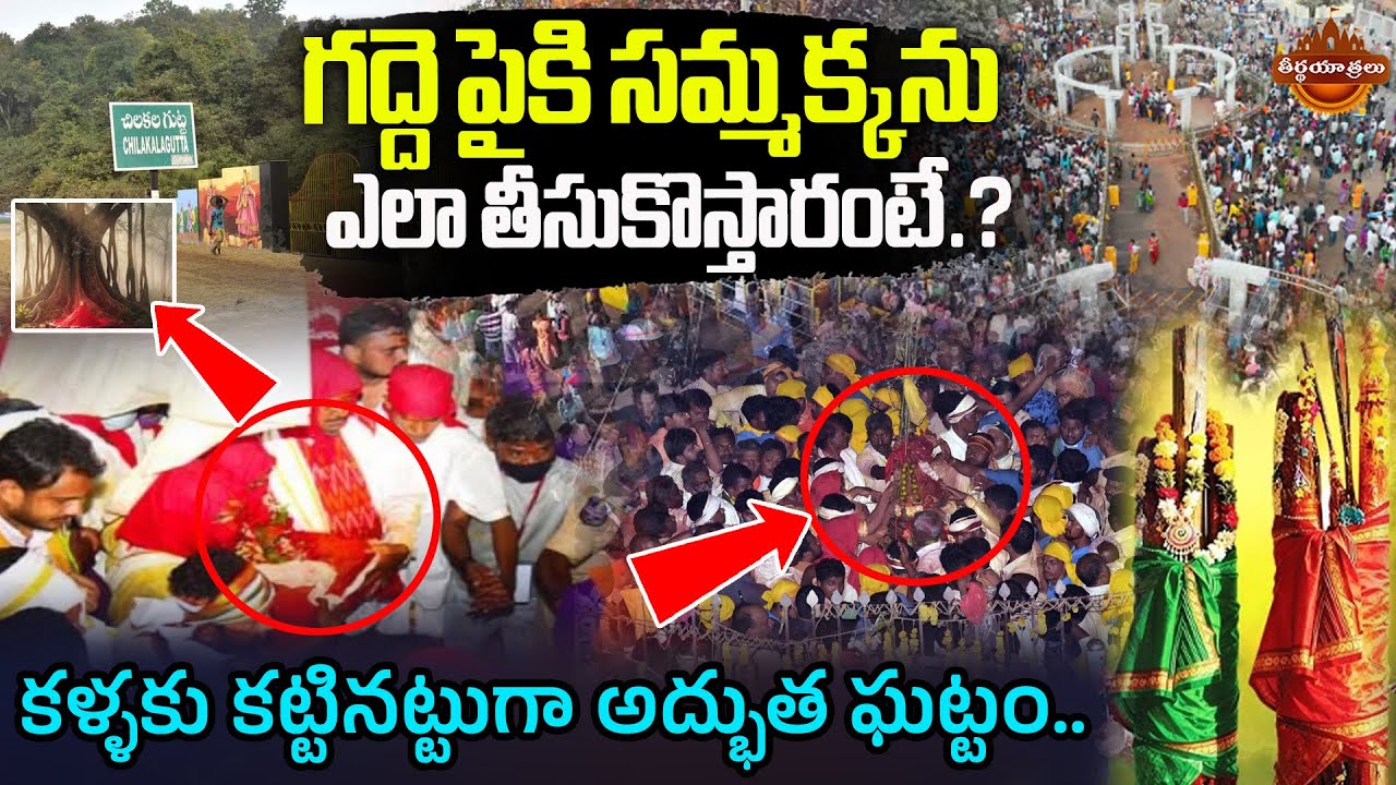 How Goddess Sammakka Arrival From Chilakalagutta to Medaram Gadde? | 