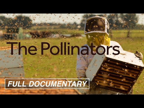 The Pollinators (FULL MOVIE) Bees, Food Supply, Environment | Award-Winning Documentary